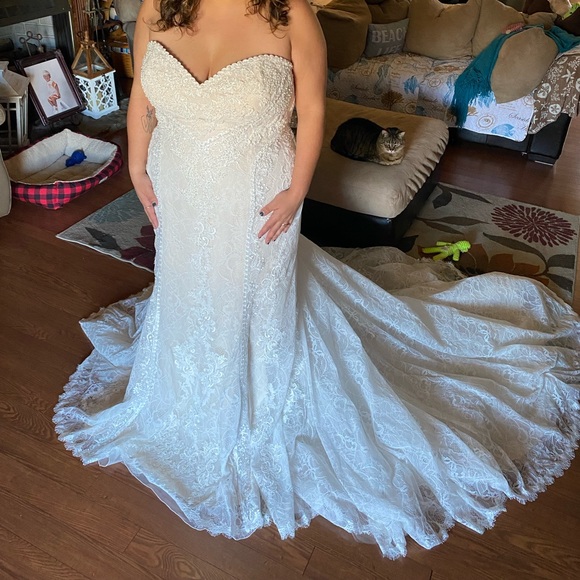 Wedding Dress - Picture 12 of 14